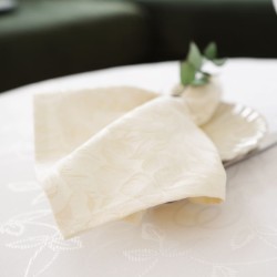 Kopio tuotteesta Lautasliina CARIBE, punainen