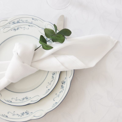 Lautasliina MAN v.01, valkoinen